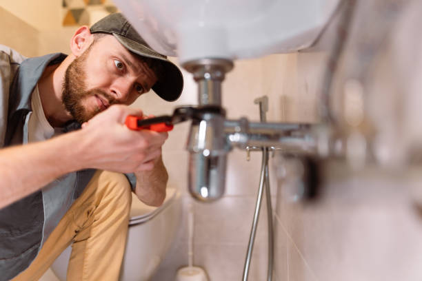 Best Local Plumber Services  in Artesia, NM